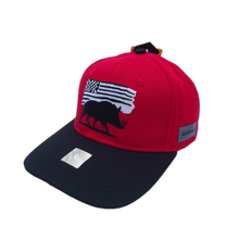 Arkansas Hog Flag Snapback